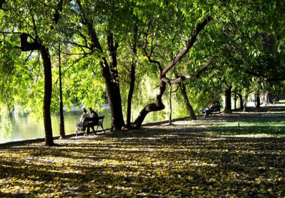 Parcuri, lacuri și natură urbană
