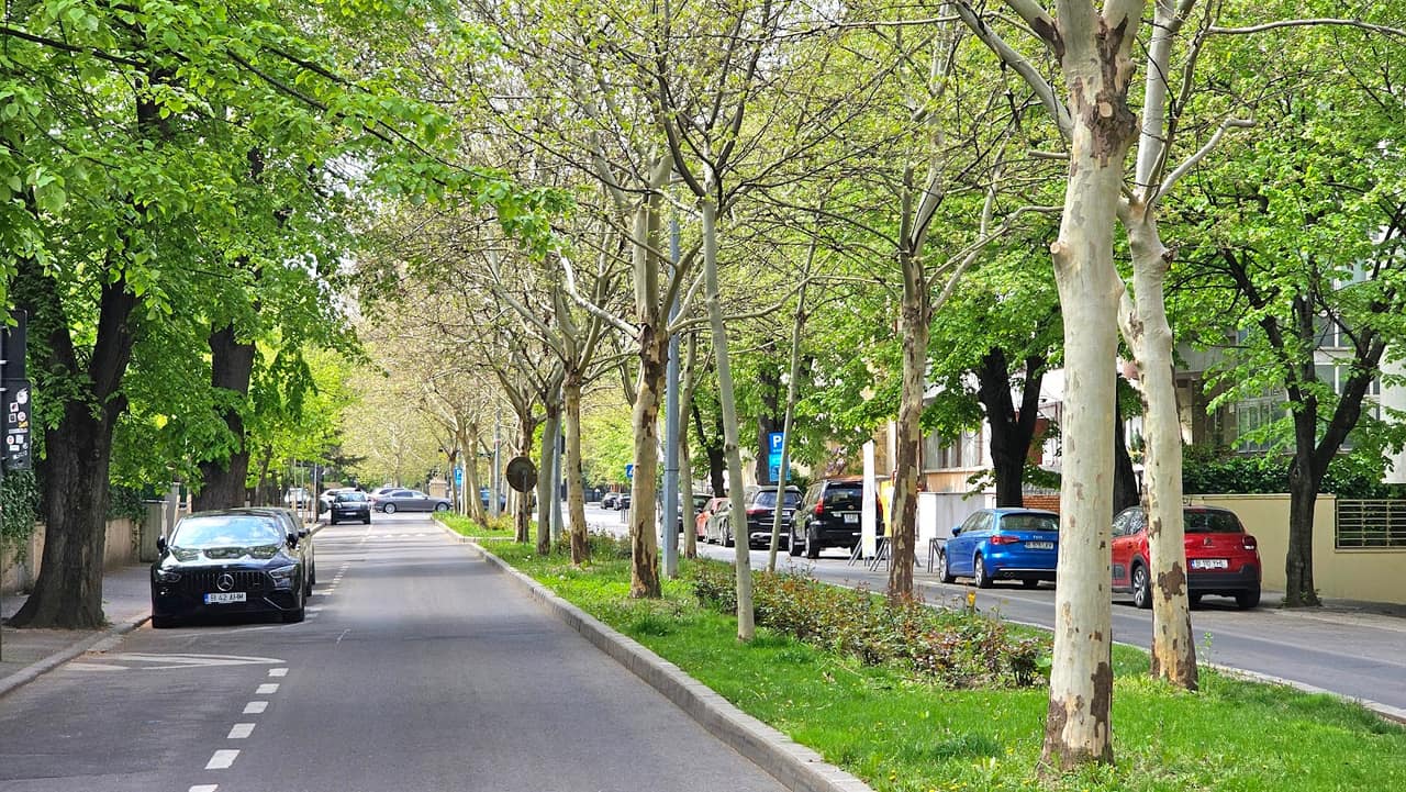 Primăverii